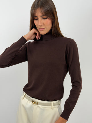 Dolcevita marrone a maniche lunghe con collo alto.