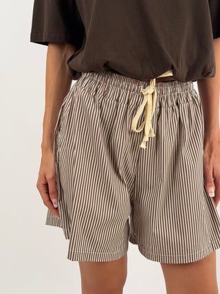 Shorts a Righe Marroni